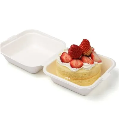 6 -inčni biorazgradivi kutija bagasse burger